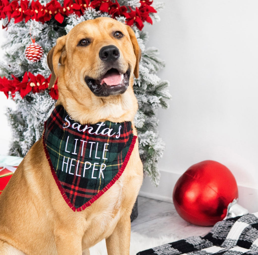 Christmas Pet Bandana – Holiday Print Scarf for Dogs & Cats