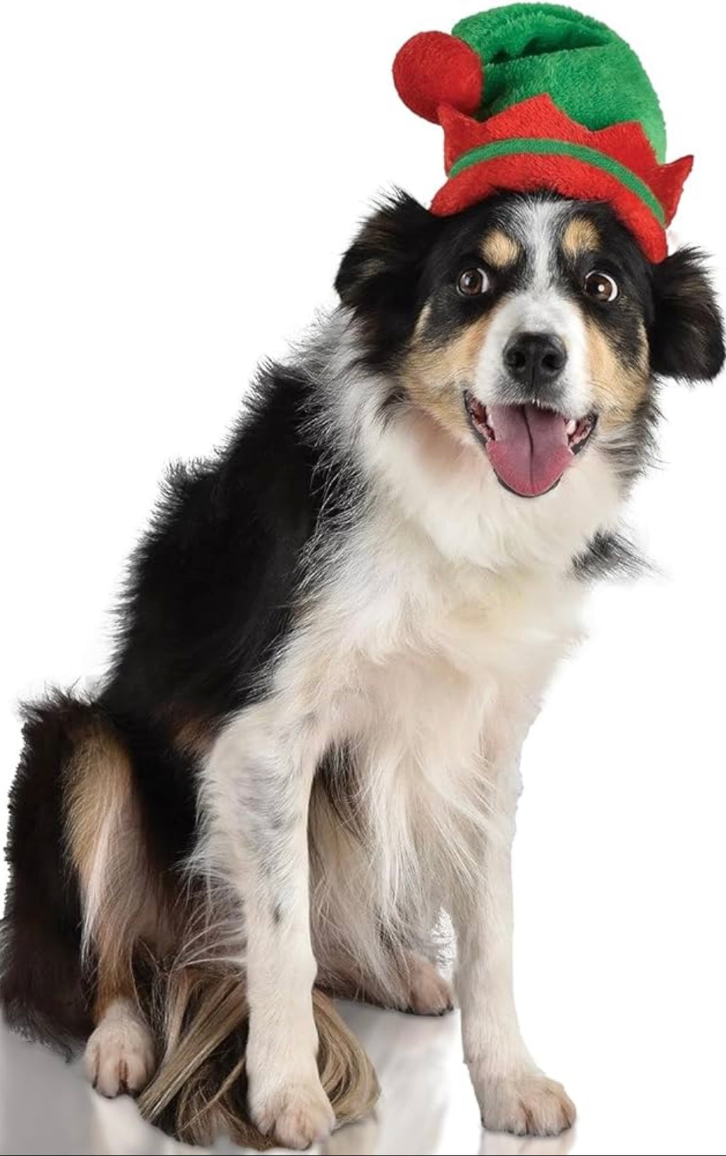 Christmas Pet Scarf & Hat Set – Holiday Photo Outfit