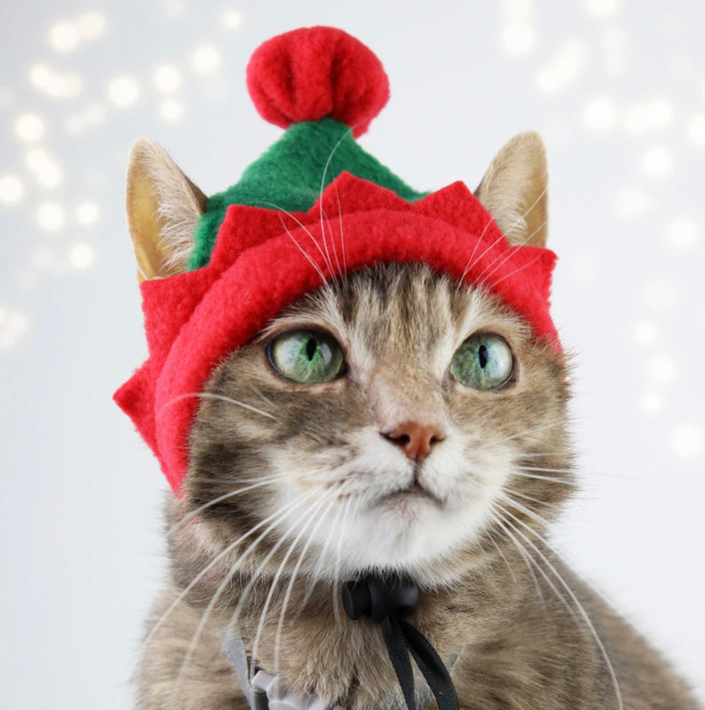 Christmas Pet Scarf & Hat Set – Holiday Photo Outfit