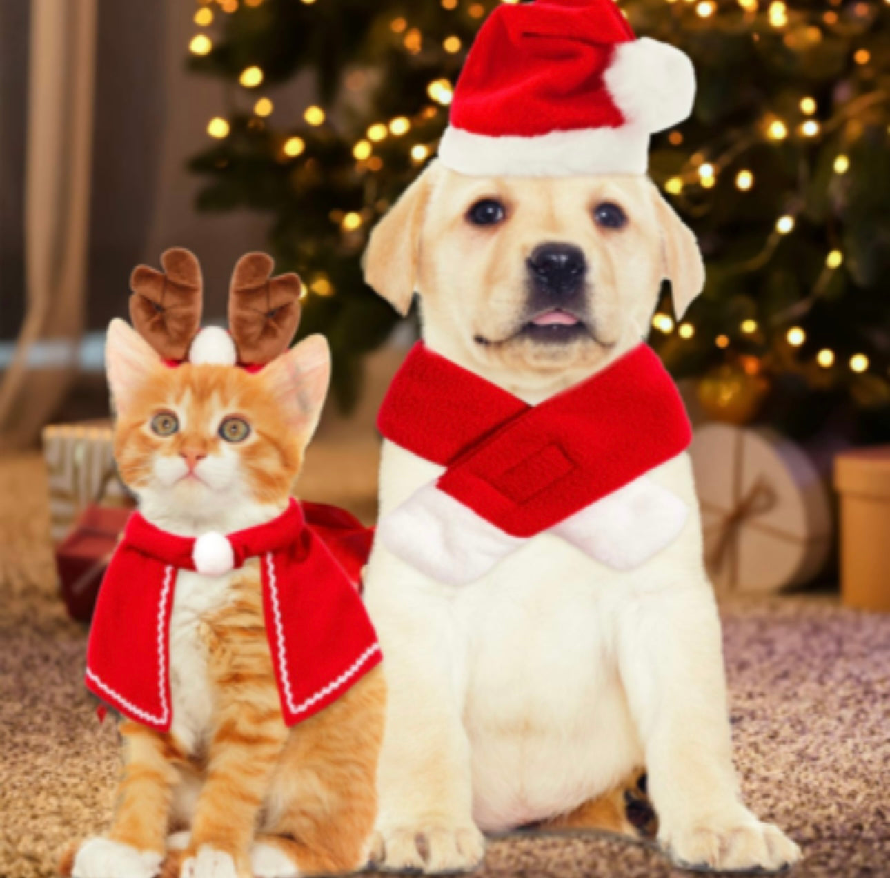 Christmas Pet Scarf & Hat Set – Holiday Photo Outfit