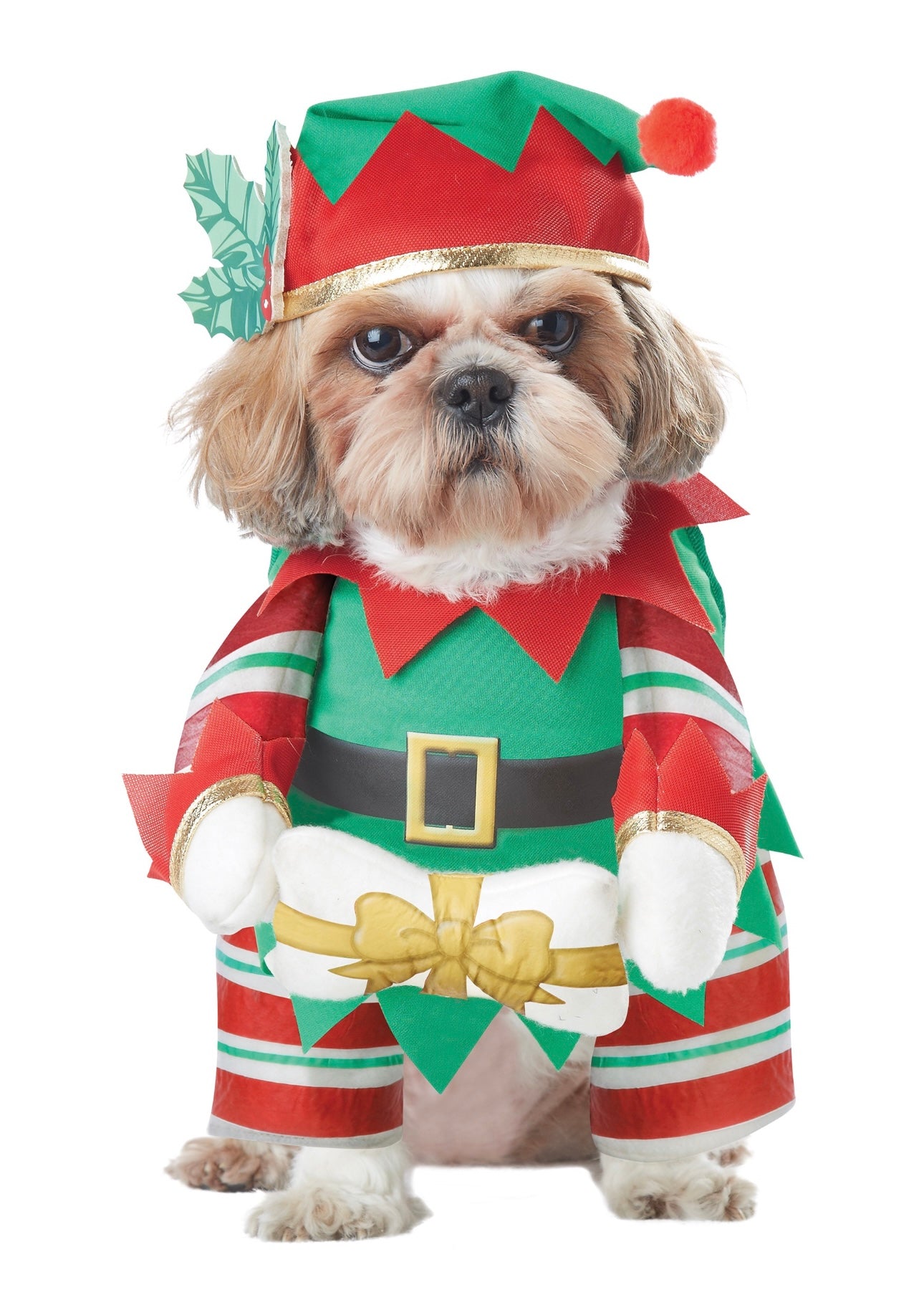 Christmas Pet Outfit – Santa & Elf Holiday Costume for Dogs & Cats