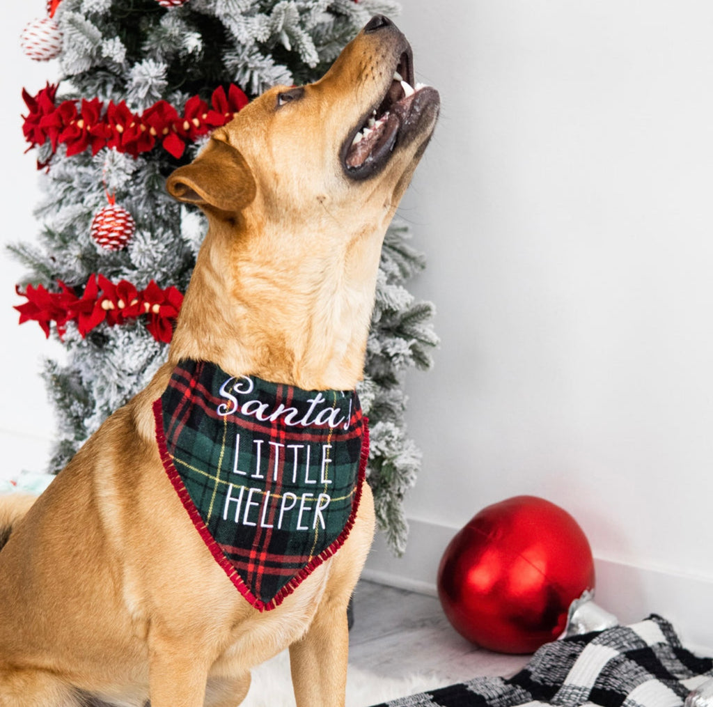 Christmas Pet Bandana – Holiday Print Scarf for Dogs & Cats