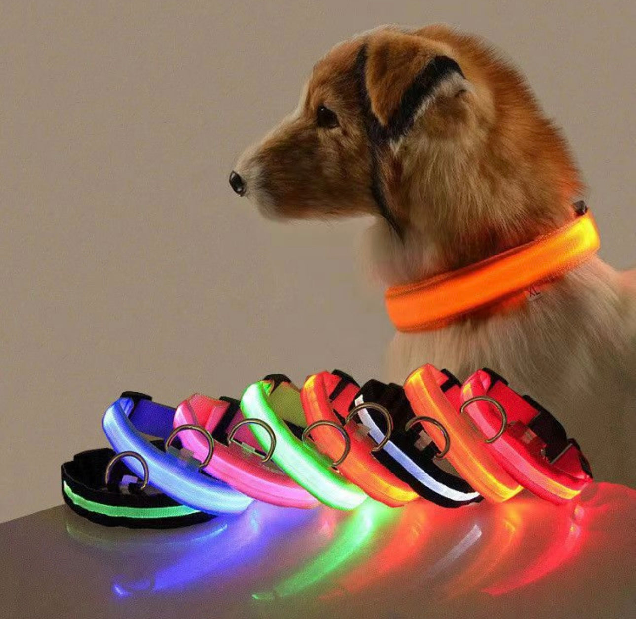 LED Glowing Christmas Pet Collar – Light-Up Safety Holiday Collar
