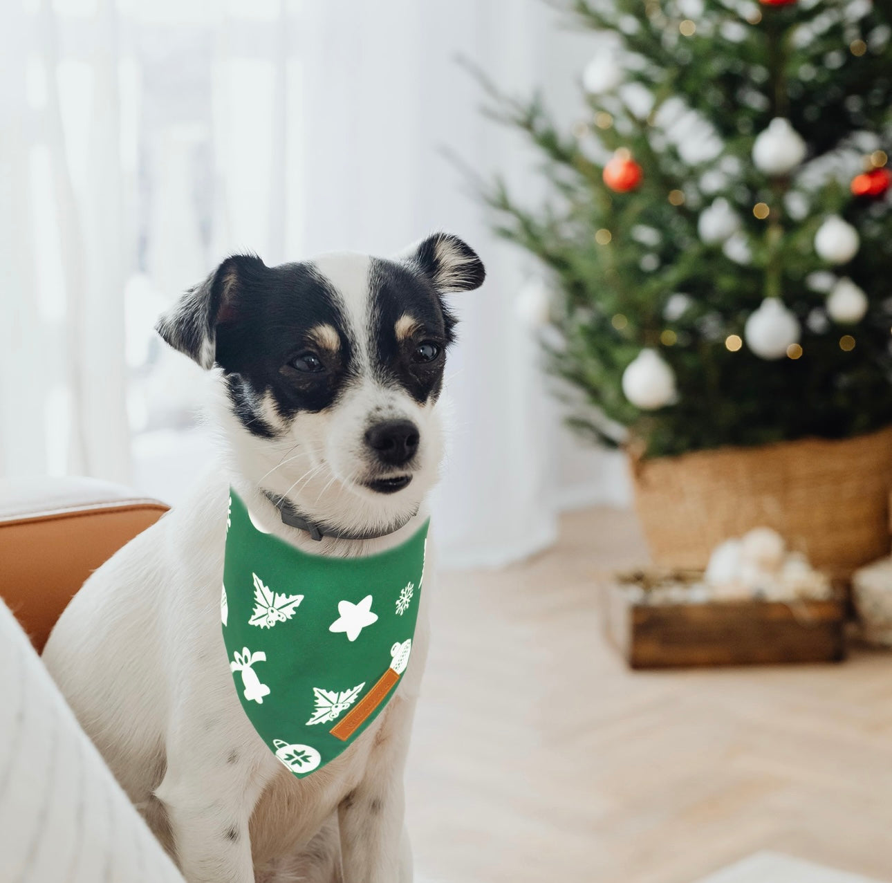 Christmas Pet Bandana – Holiday Print Scarf for Dogs & Cats