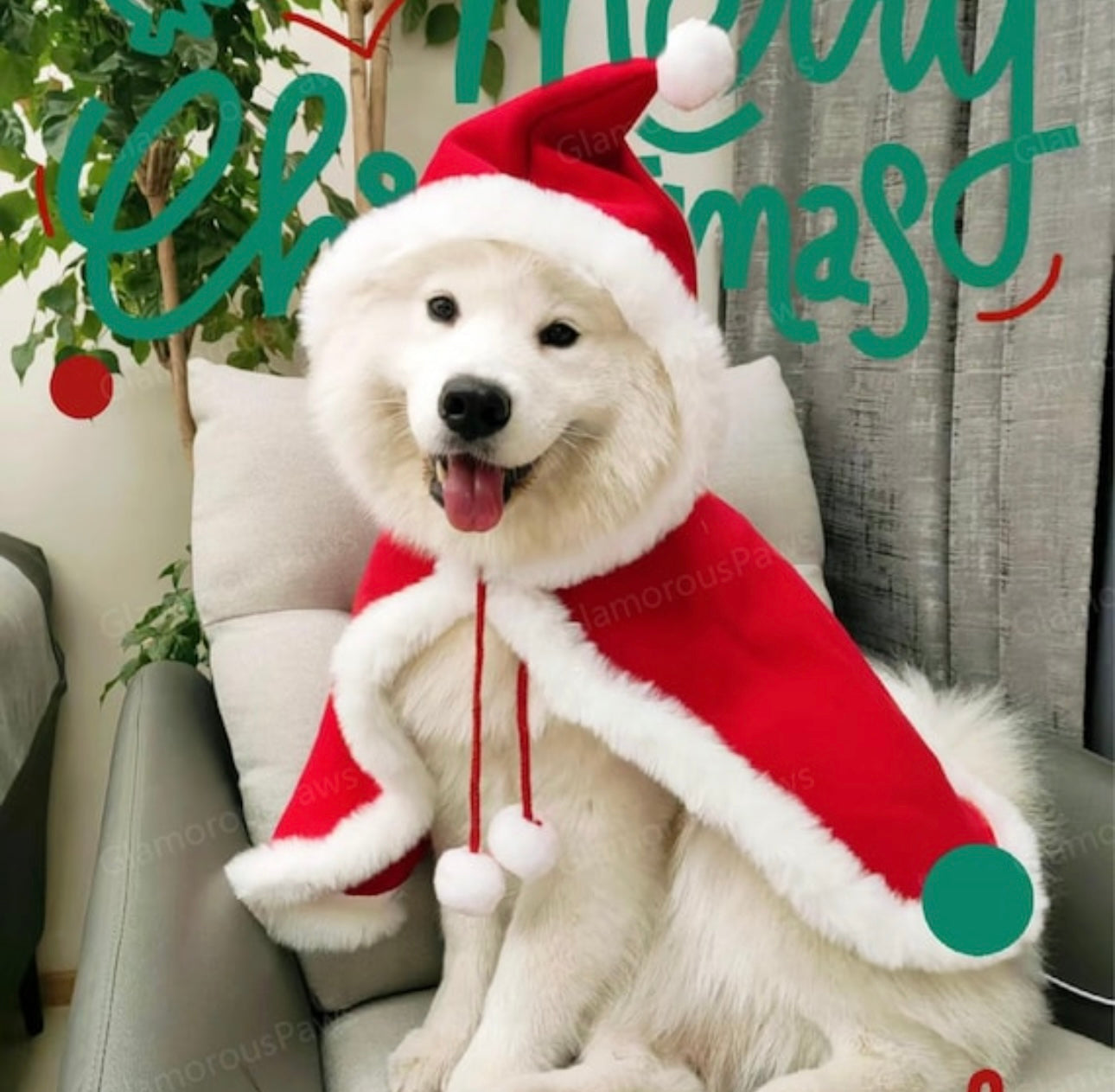 Christmas Pet Outfit – Santa & Elf Holiday Costume for Dogs & Cats