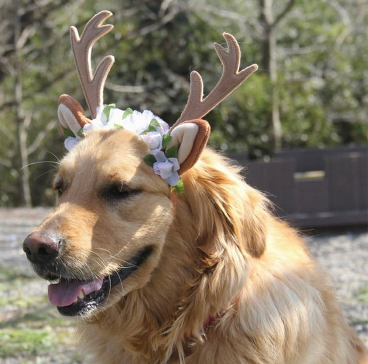 Christmas Reindeer Antler Headband – Holiday Costume for Dogs & Cats